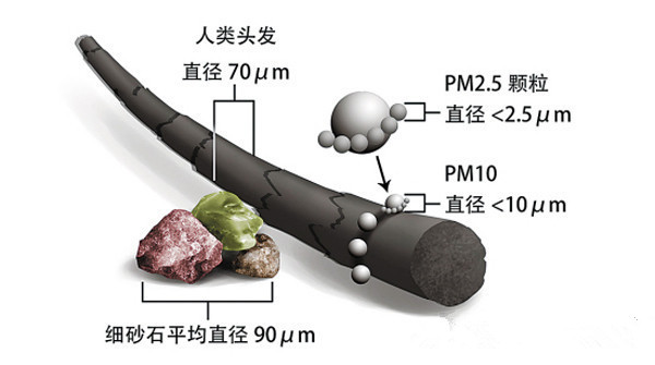 PM2.5颗粒大小与一般生活常见的物质的比较